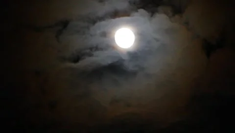 Full moon Stock Footage 8833731