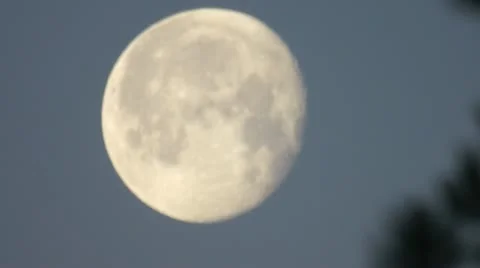 Full Moon 库存影片 10823951