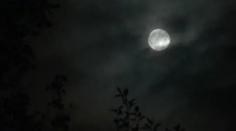 Full Moon Vidéo 22026739