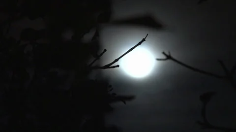 Full moon  Stock Footage 30569574