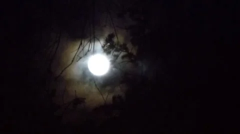Full Moon 動画素材 37183776