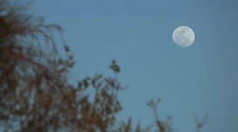 Full Moon Stock Footage 42113159