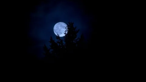 Full Moon Stock Footage 70046282