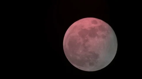 Full Moon Stock Footage 85461448