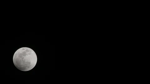 Full Moon Stock Footage 89989506