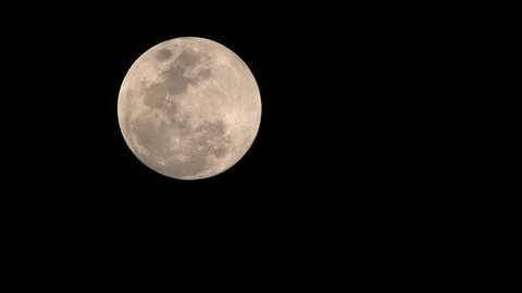 Full Moon Stock Footage 103481566