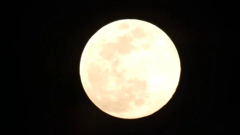 Full Moon Stock Footage 105032501