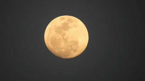 Full Moon Stock Footage 202151938