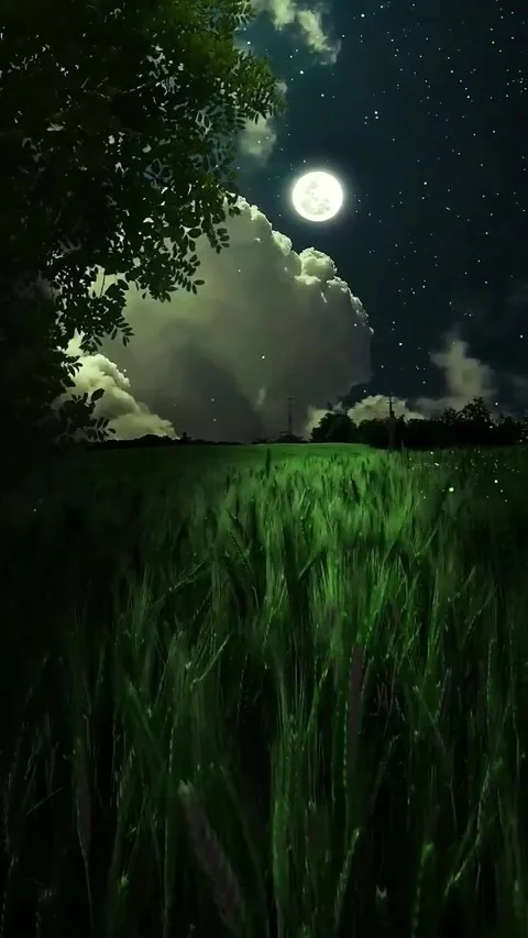 Full moon Video stock 214933152