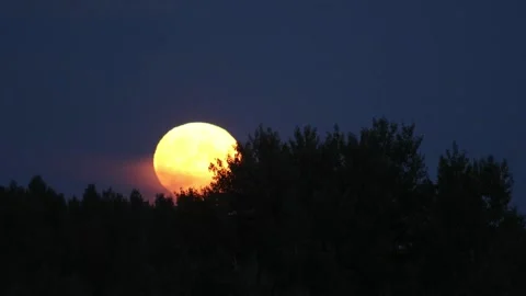 Full moon Stock Footage 237603257