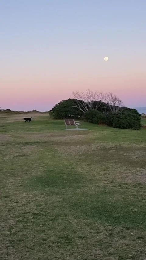 Full moon Stock Footage 247388020