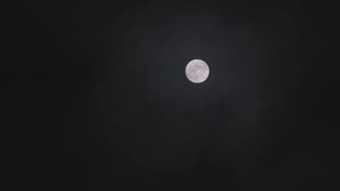 Full moon Stock Footage 288411185