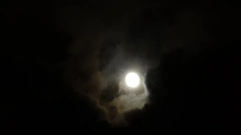 Full moon 스톡 동영상 290472856