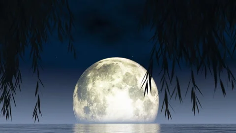 Full moon Stock-Footage 292984724