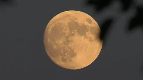 Full Moon Stock Footage 306445796