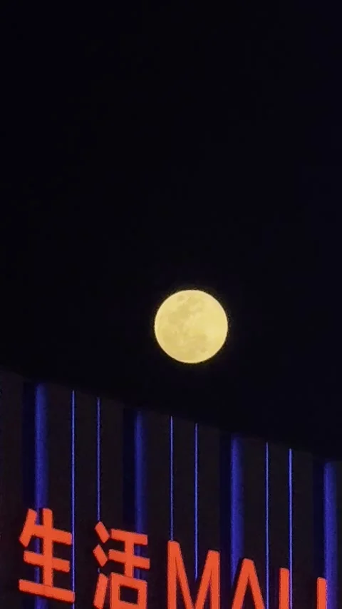 Full Moon Stock Footage 316013296