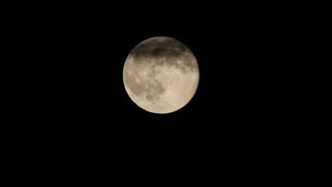 Full Moon Video stock 331995110