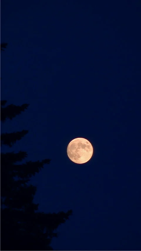 Full Moon Stock-Footage 332383758