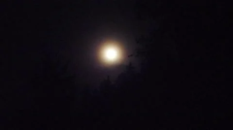 Full Moon in Forest Time Lapse Video stock 27825056