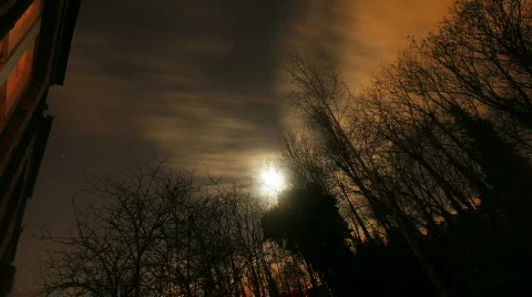 Full moon garden time lapse hdtv Stock Footage 633088