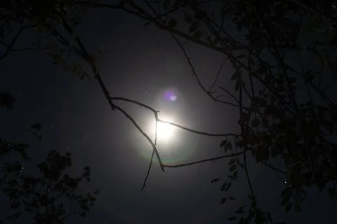 Full moon glow through thin tree branches with no leaves with multicolor lens Stock Photos