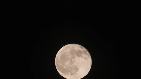 Full Moon Glowing in the Night Sky Stock Footage 344694700
