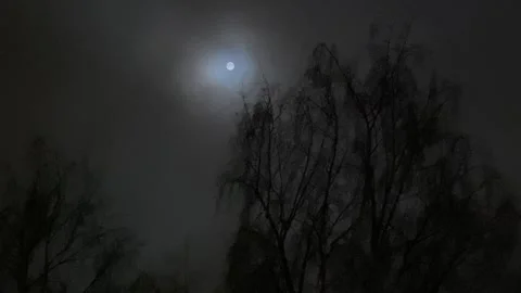 Full moon glowing through mist with tree silhouettes at night, 4K 動画素材 330030576