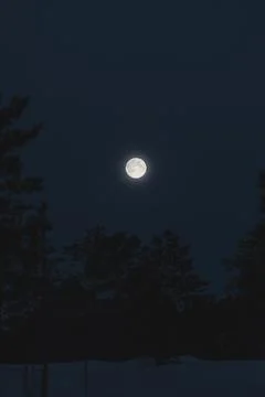 Full moon glows above a dark snowy forest near Malangen Fjord in Troms Coun.. Stock Photos