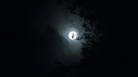 Full Moon Glows Bright Before Clouds Take Over Stock Footage 120038118