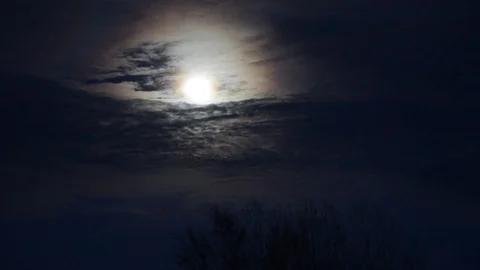 Full Moon Hangs Above Tree Behind the Clouds - Time Lapse Video stock 85302735