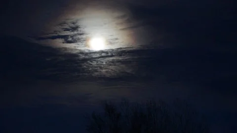 Full Moon Hangs Above Tree Behind the Clouds Video stock 85302786