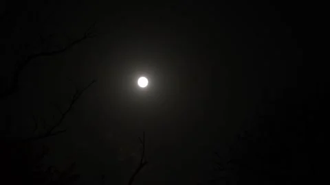 Full moon high in the night sky. Moonlight in darkness Stock Footage 319112837
