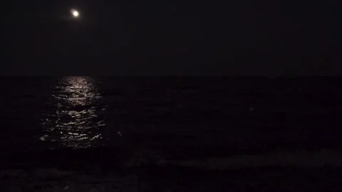The full moon on the horizon Stock-Footage 151897802