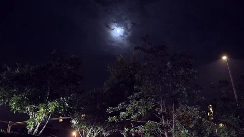 Full Moon on July 4th Stock Footage 77329728