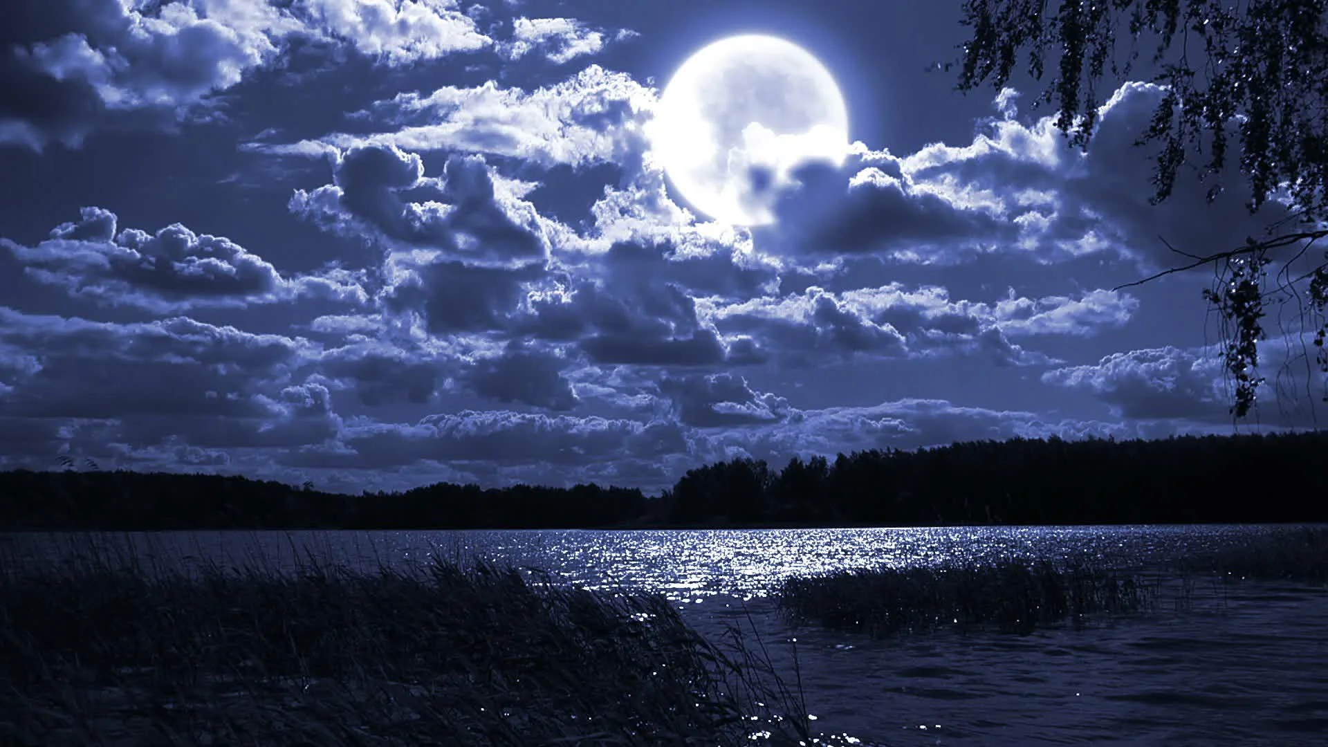 В тихую лунную ночку выйду. Лунное небо. Лунная ночь. Ночная Луна. Ночь Луна.