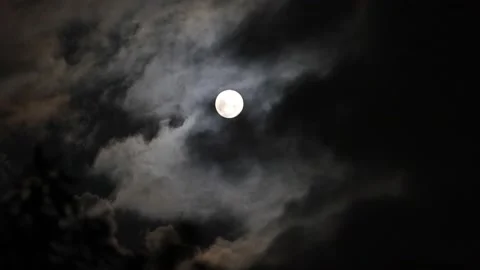 Full moon light with cloud Stock Footage 221627242