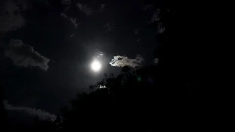 The full moon light path Stock Footage 240809992