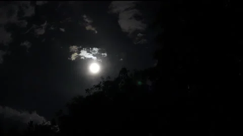 The full moon light path Stock Footage 240810517