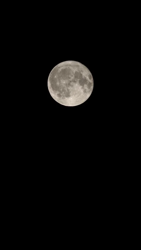 The full moon looks big in the sky. Stock Footage 320522099
