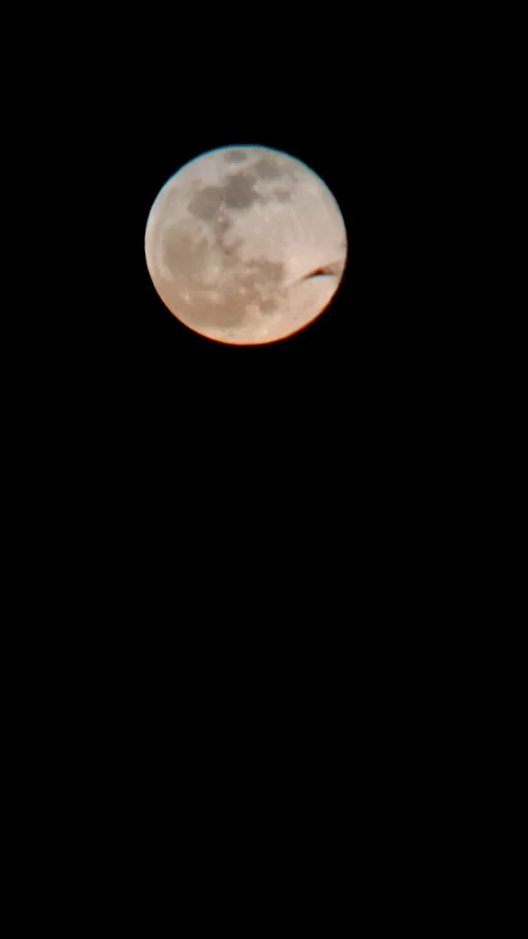 Full moon looks so beautiful in the dark night sky Stock Footage 318663186
