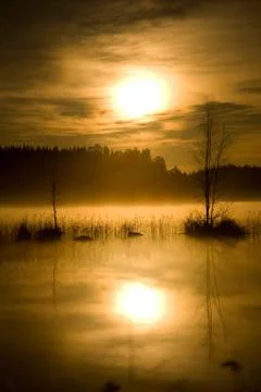 Full moon in midnight Stock Photos