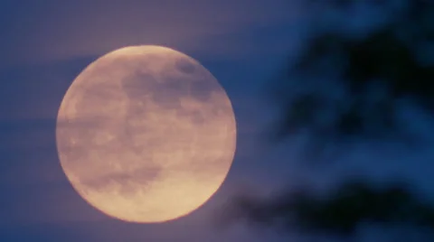 Full moon, moonrise, pink moon, summer haze Stock Footage 33732627