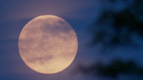 Full Moon, Moonrise, pink moon, summer haze Stock Footage