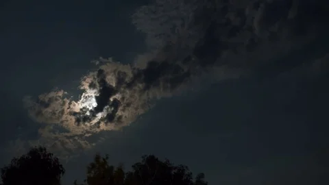 Full Moon Moves in the Night Sky through Dark Clouds and Trees. TimeLapse 스톡 동영상 82880735