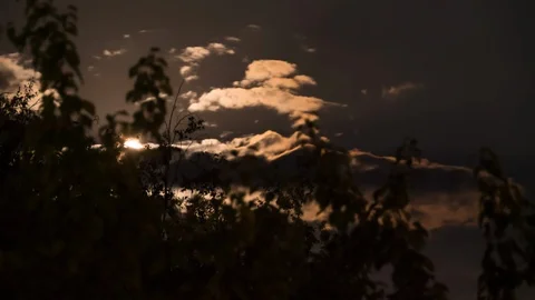 Full Moon Moves in the Night Sky through Trees and Dark Clouds. Timelapse Stock Footage 116097582