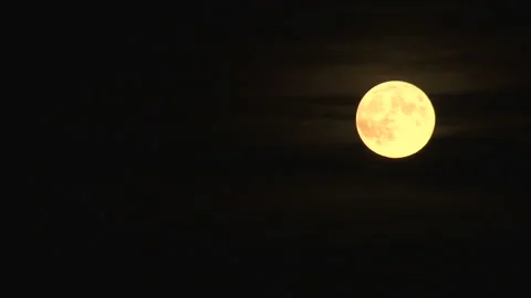 Full moon moves through the night sky. Video stock 154471838