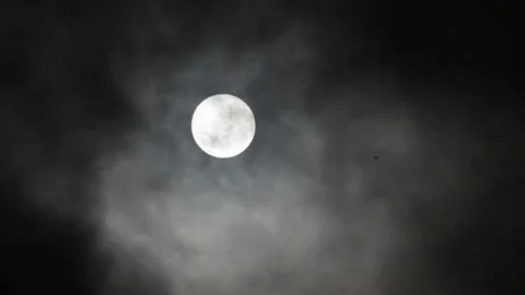 Full moon with moving clouds and bats flying around Video stock 151235126