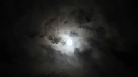 Full moon with moving clouds and bats flying around Video stock 151235211