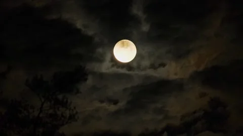 Full Moon Moving Through Clouds at Night Time Lapse Stock Footage 346250846