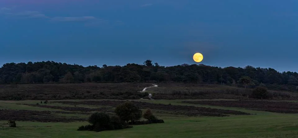 Full Moon New Forest Stock Photos